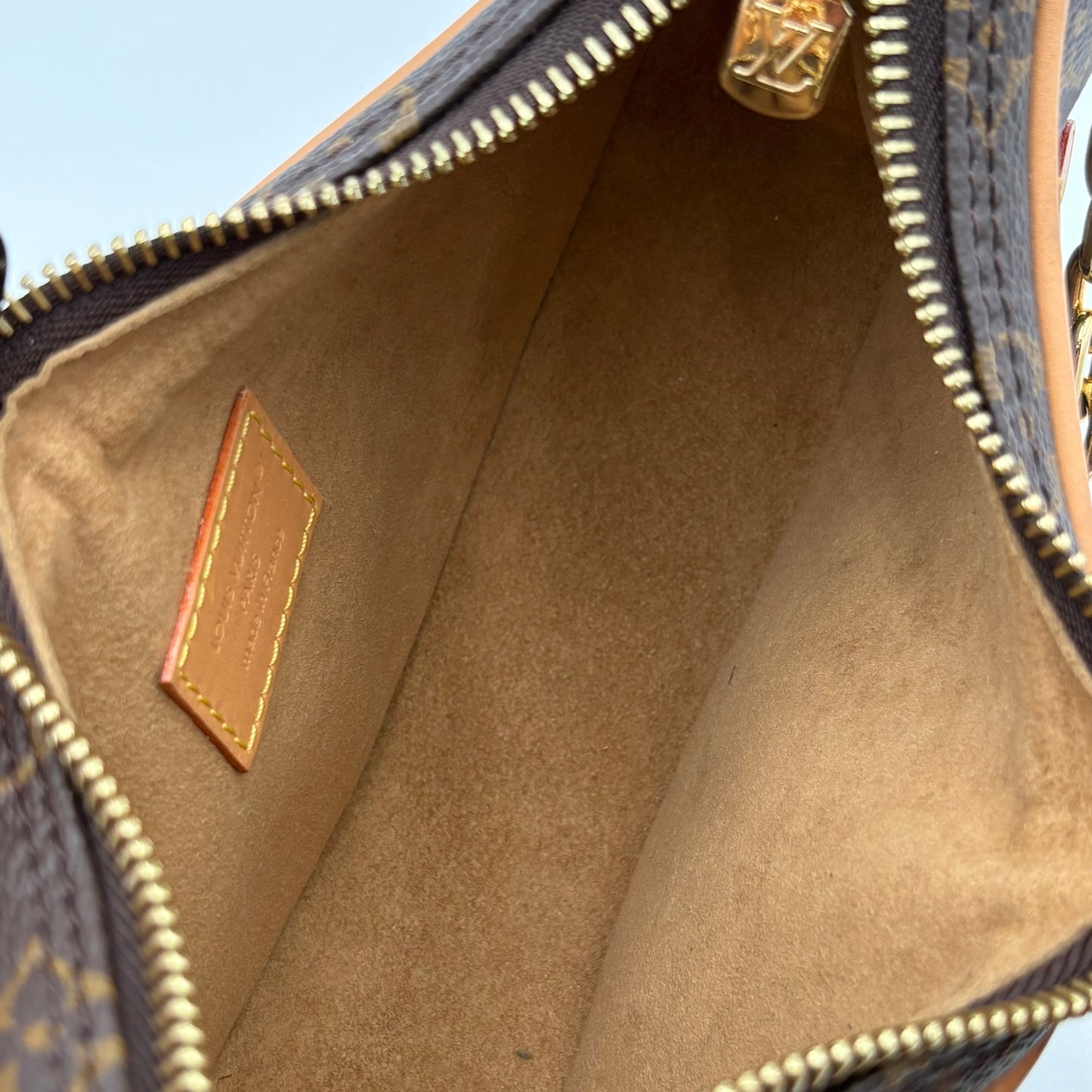 NIB Louis Vuitton Monogram Loop Bag