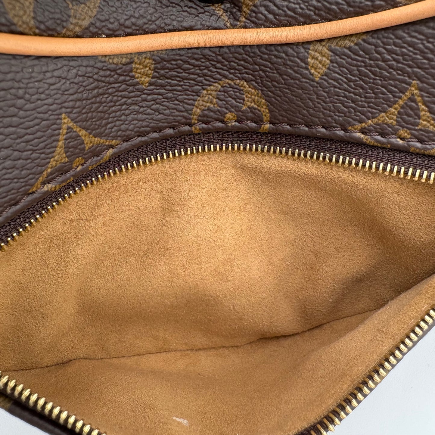 NIB Louis Vuitton Monogram Loop Bag