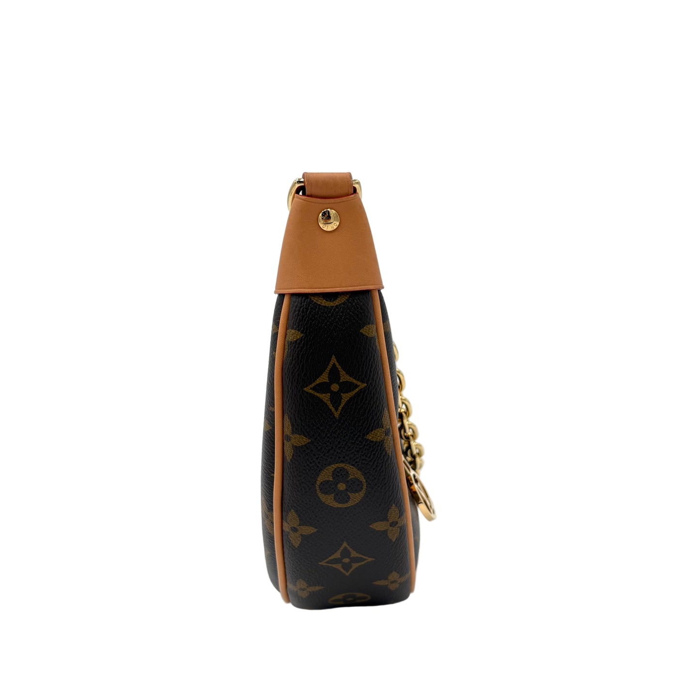 NIB Louis Vuitton Monogram Loop Bag