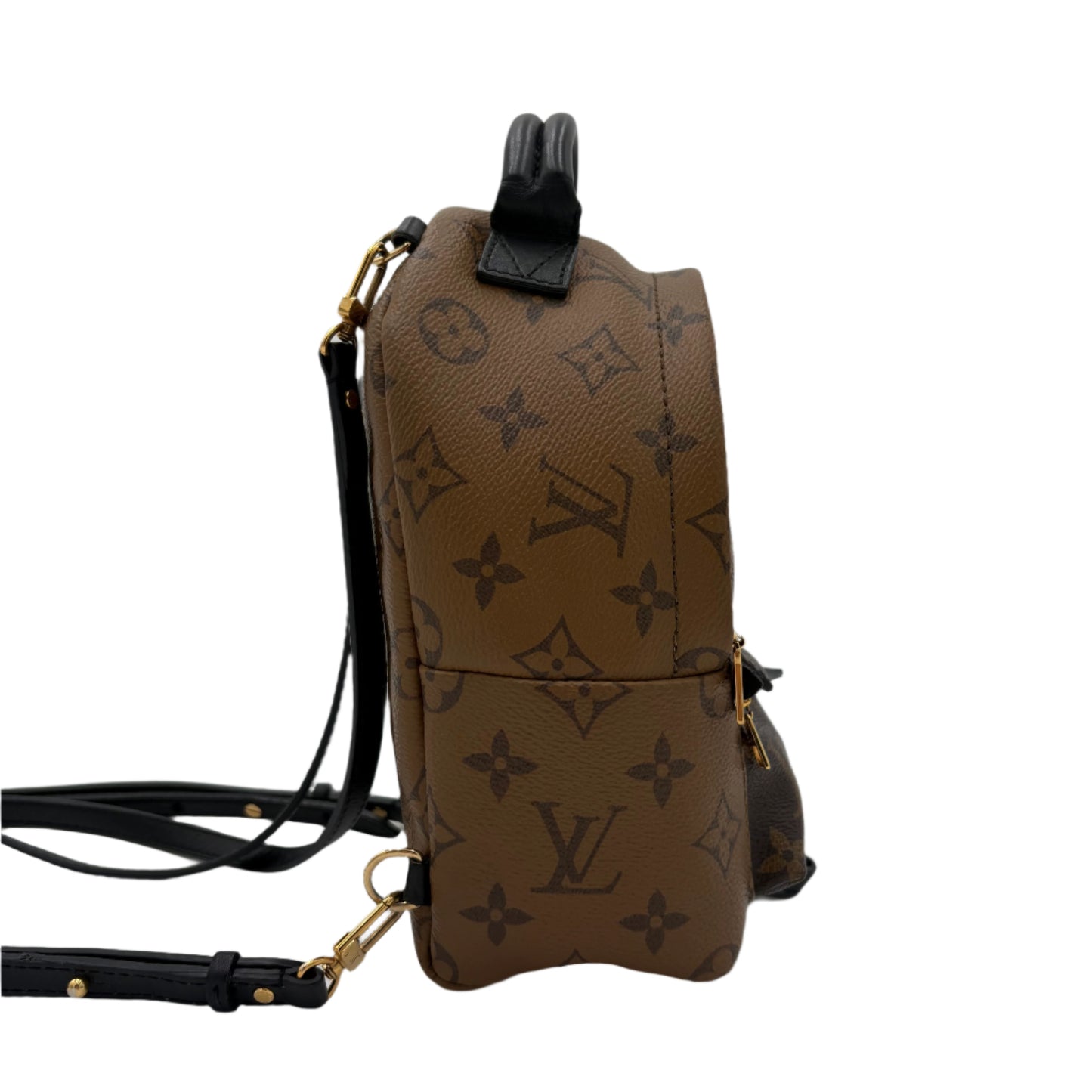 Louis Vuitton Reverse Monogram Palm Springs Backpack Mini