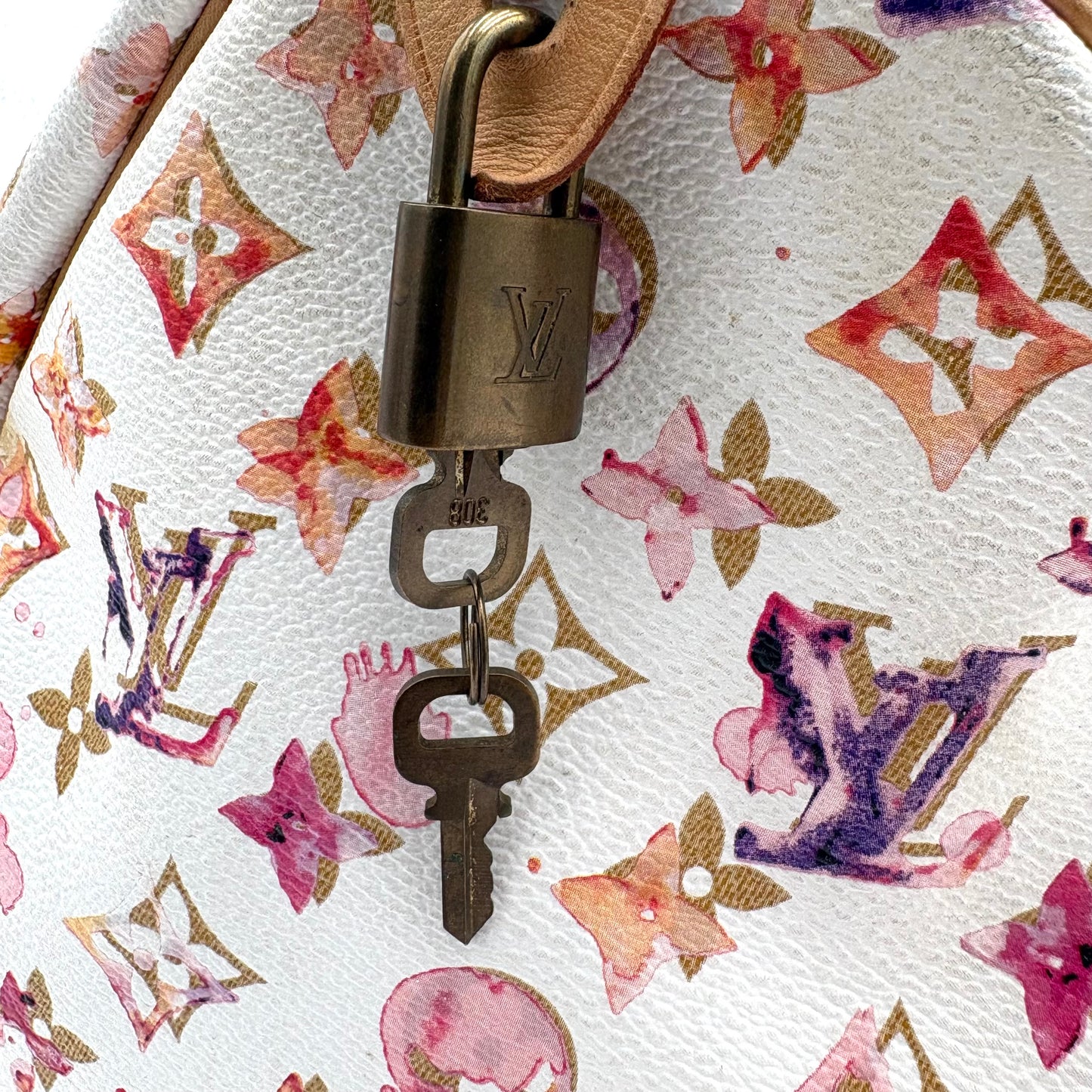 Louis Vuitton Watercolor Speedy