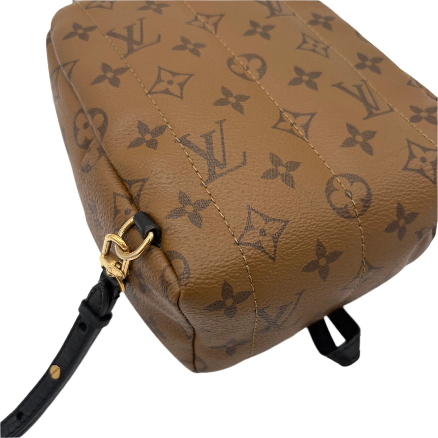 Louis Vuitton Reverse Monogram Palm Springs Backpack Mini