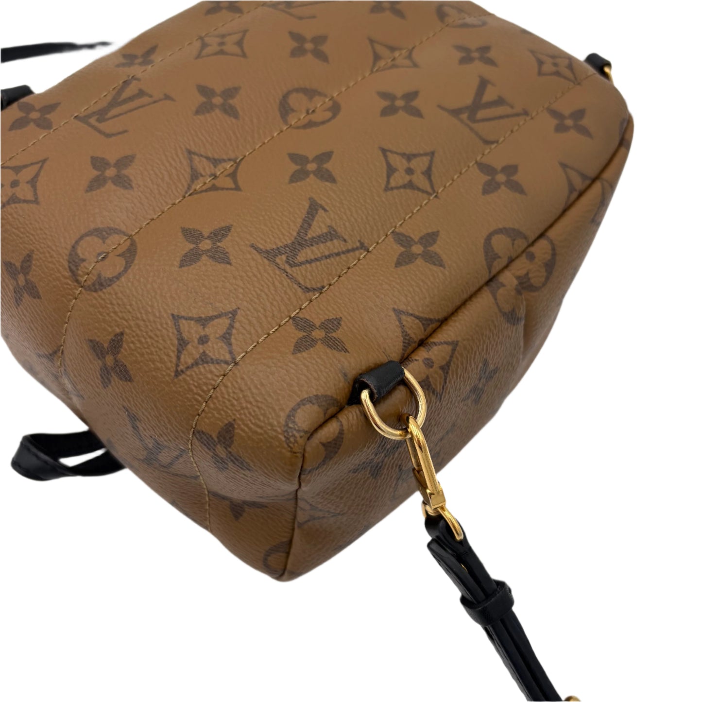 Louis Vuitton Reverse Monogram Palm Springs Backpack Mini