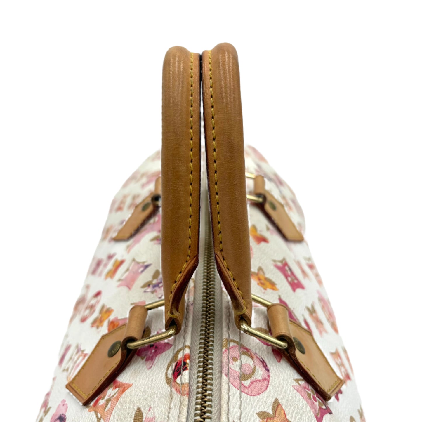 Louis Vuitton Watercolor Speedy