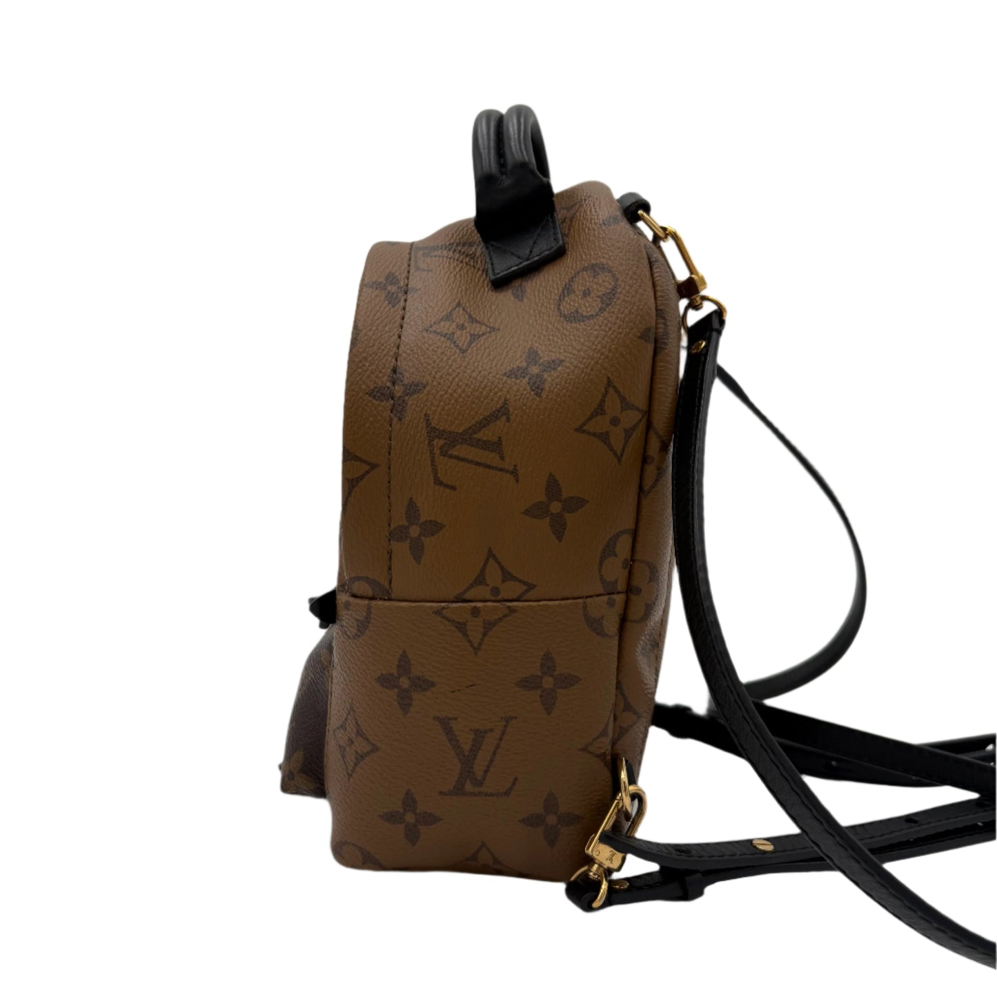 Louis Vuitton Reverse Monogram Palm Springs Backpack Mini