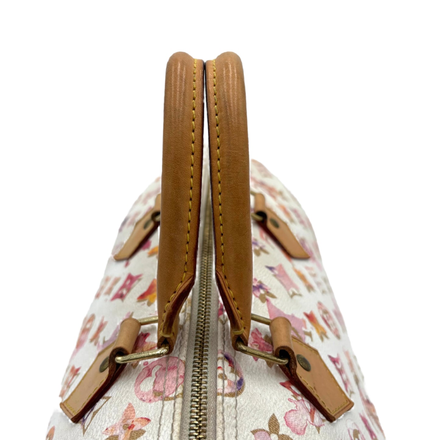 Louis Vuitton Watercolor Speedy