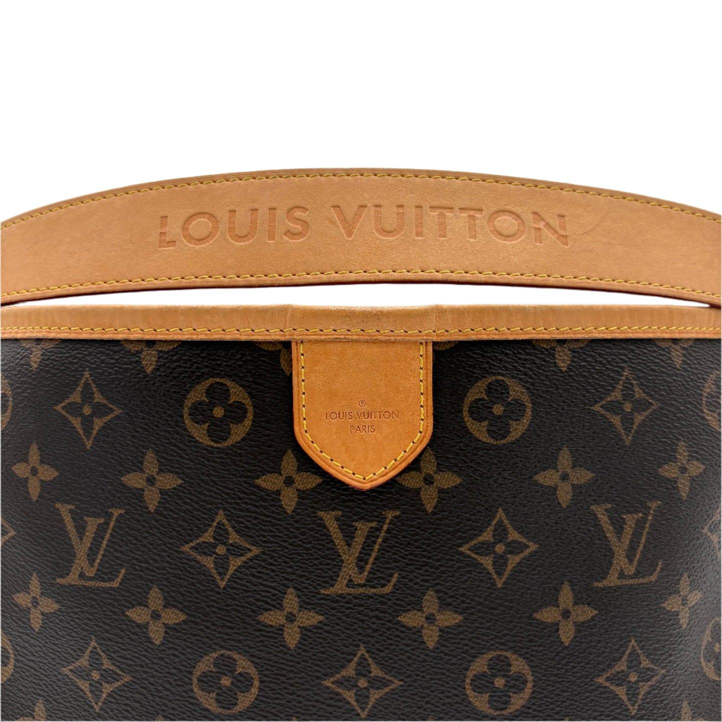 Louis Vuitton Delightful NM-Monogram : PM