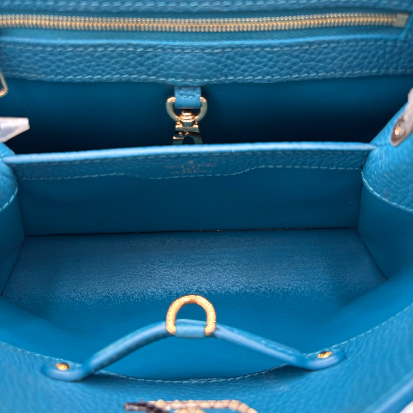 LOUIS VUITTON CAPUCINES PYTHON LEATHER VIBA