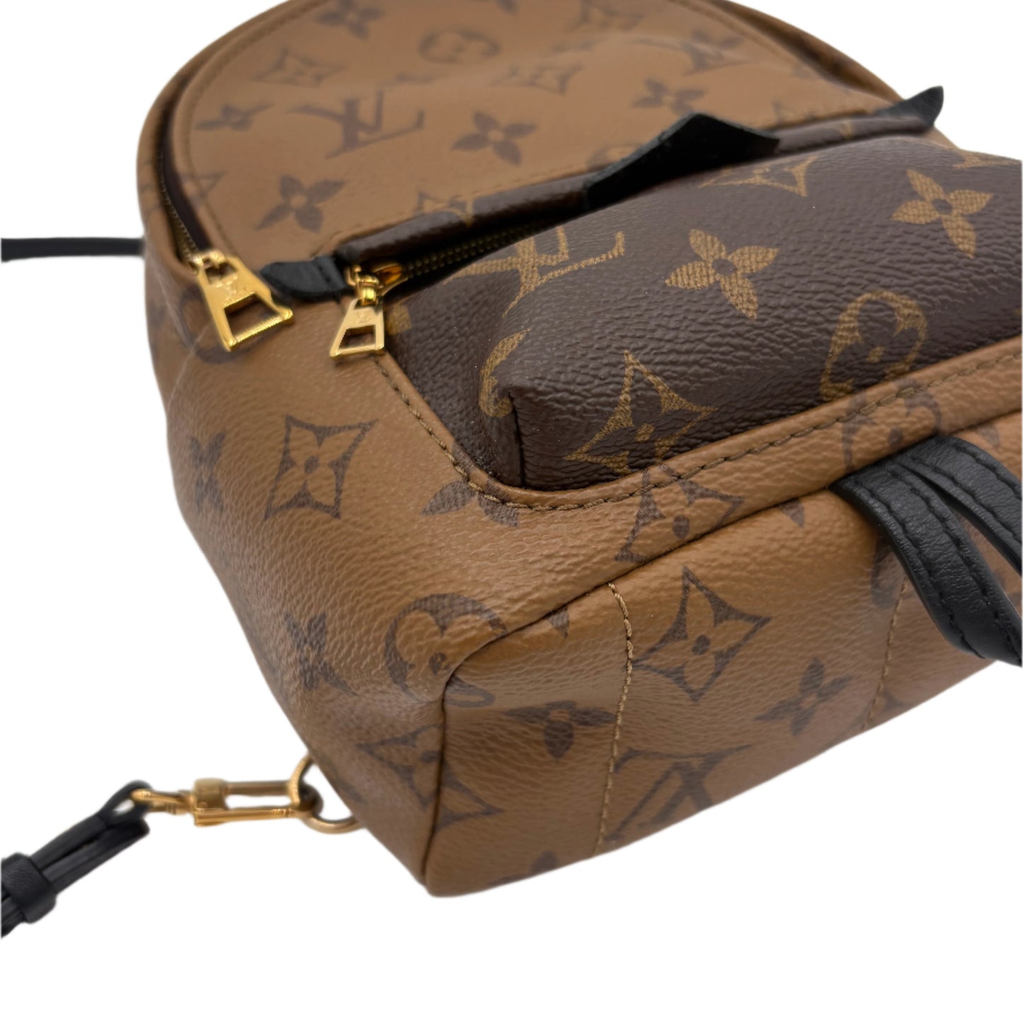 Louis Vuitton Reverse Monogram Palm Springs Backpack Mini
