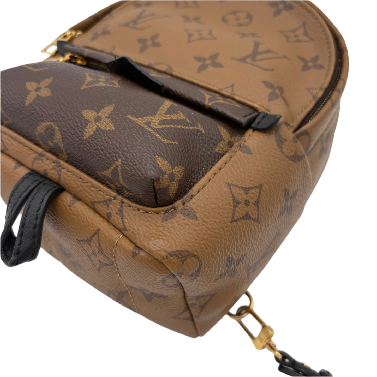 Louis Vuitton Reverse Monogram Palm Springs Backpack Mini