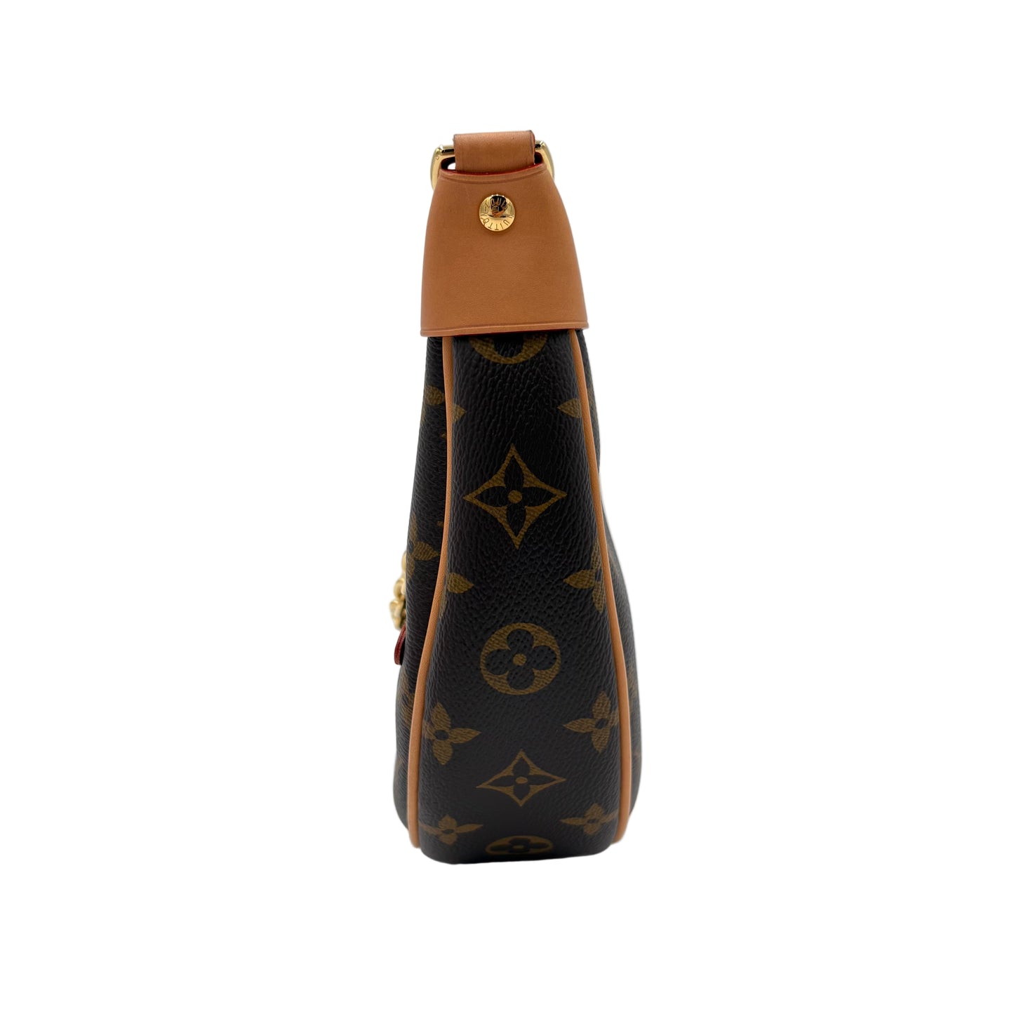 NIB Louis Vuitton Monogram Loop Bag