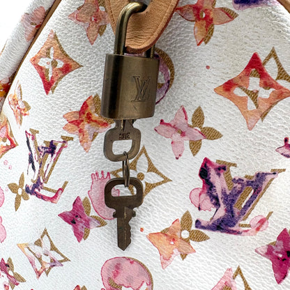 Louis Vuitton Watercolor Speedy