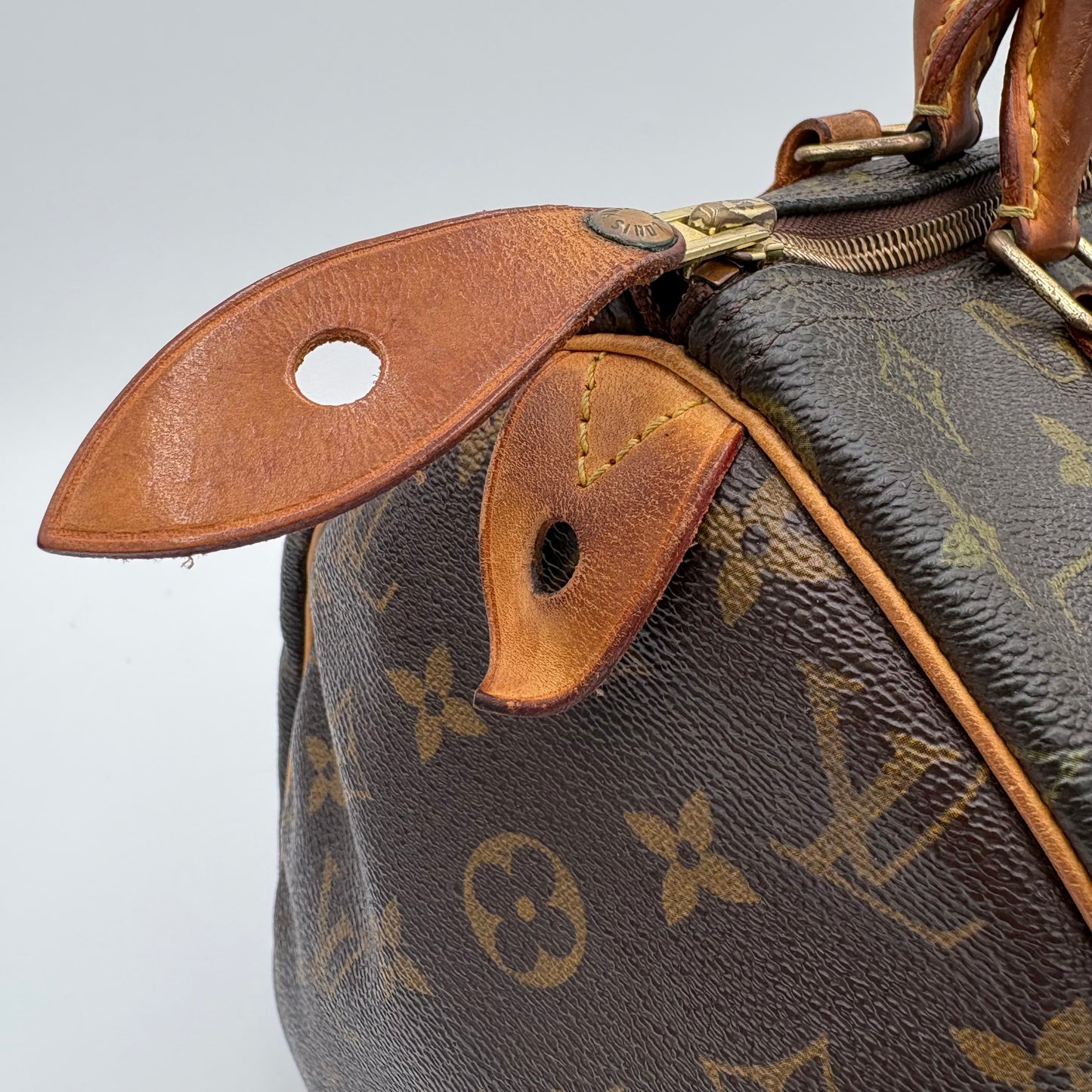 2009 Louis Vuitton Speedy Handbag