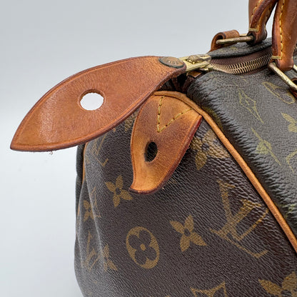 2009 Louis Vuitton Speedy Handbag