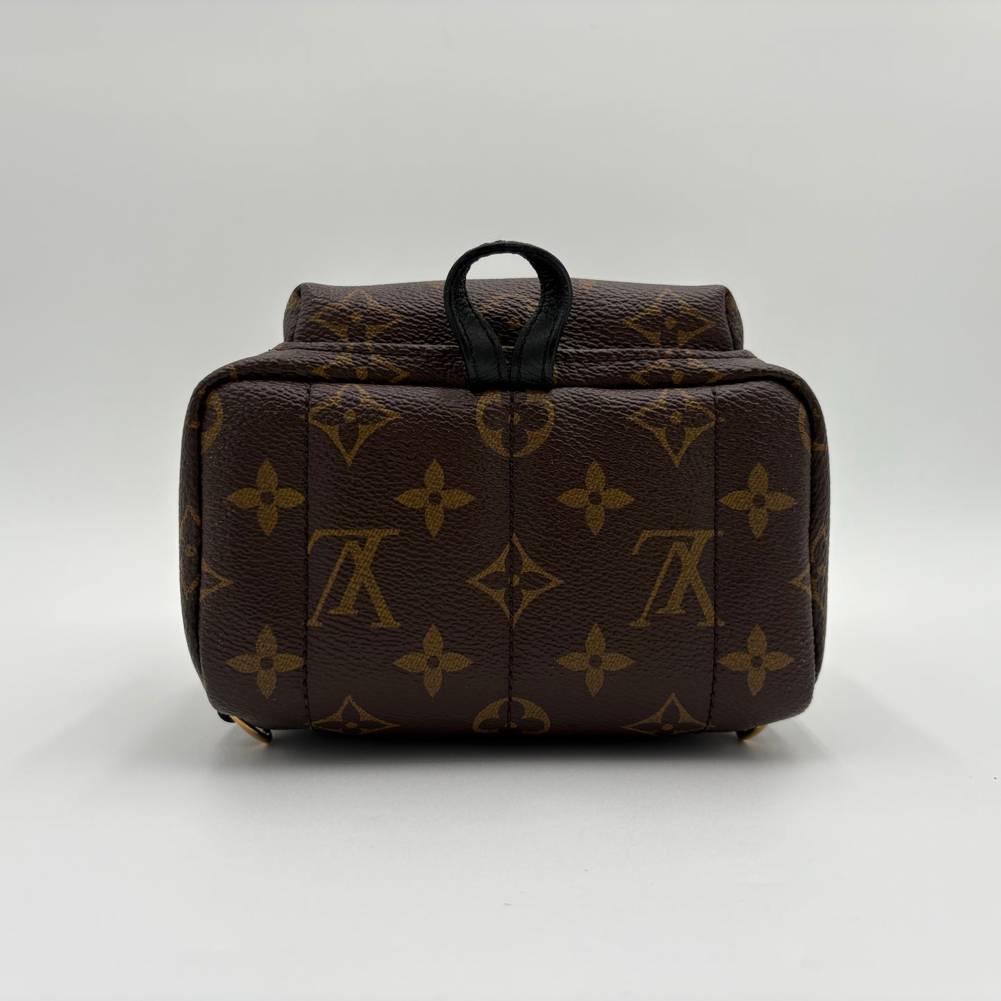 2018 Louis Vuitton Palm Springs Mini Backpack