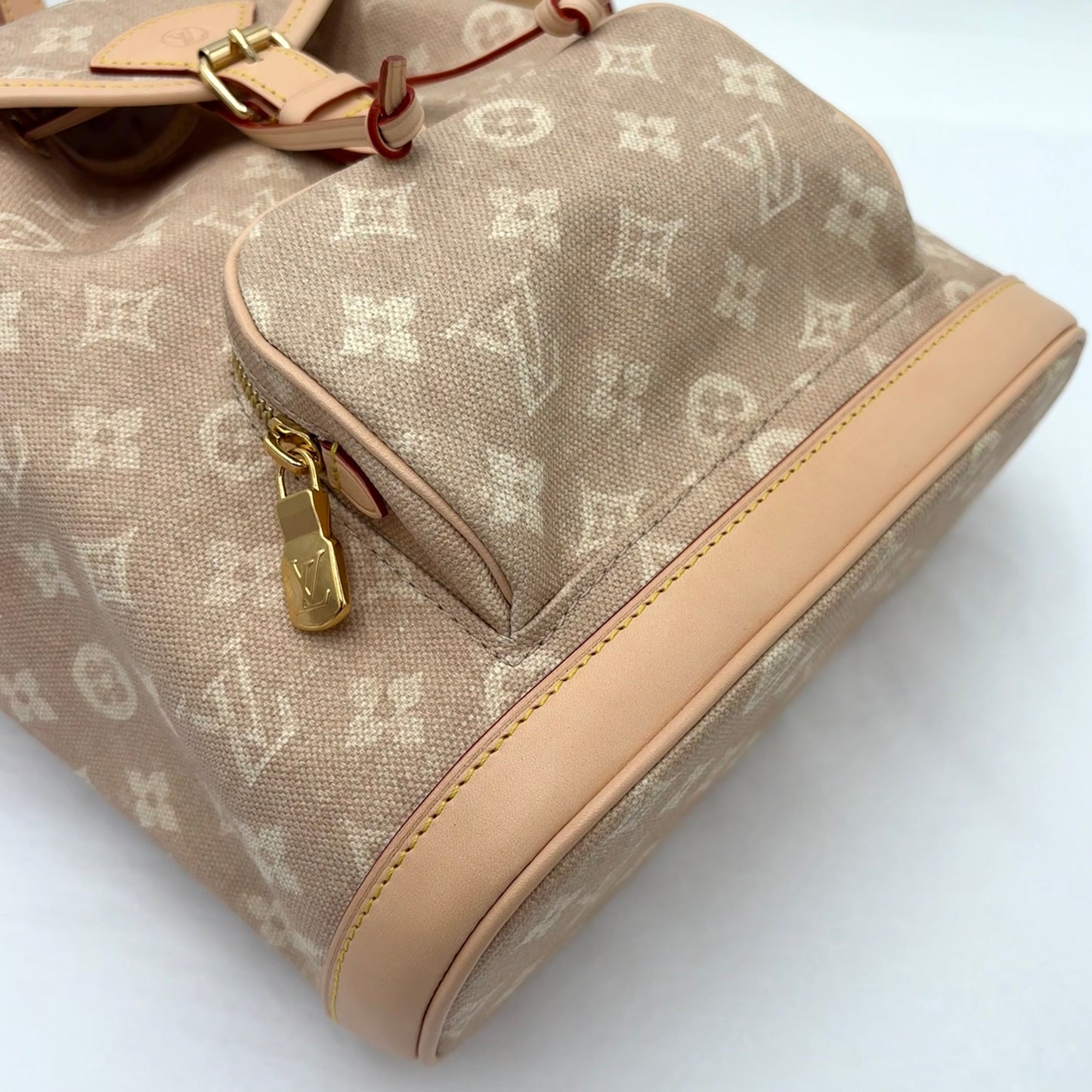 2025 Louis Vuitton Monogram Meowgram Montsouris