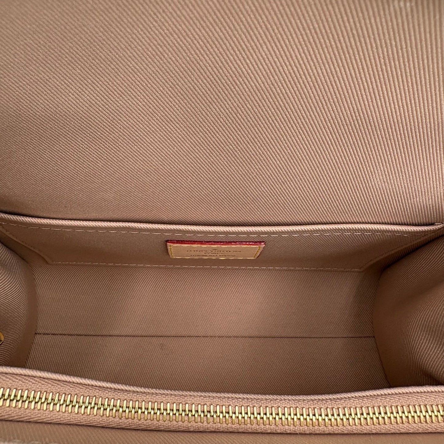 MIB Louis Vuitton Mini Cluny Bag