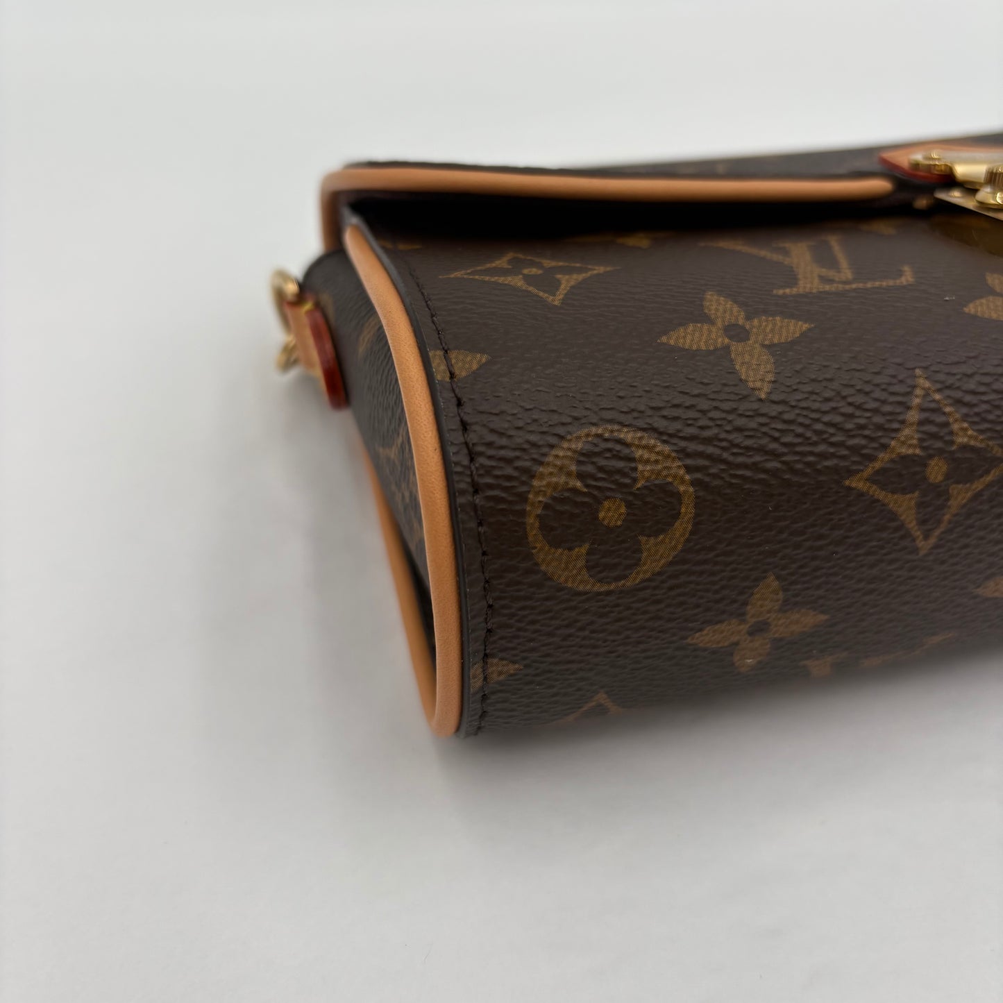 Chipped Louis Vuitton Pochette Camille Bag