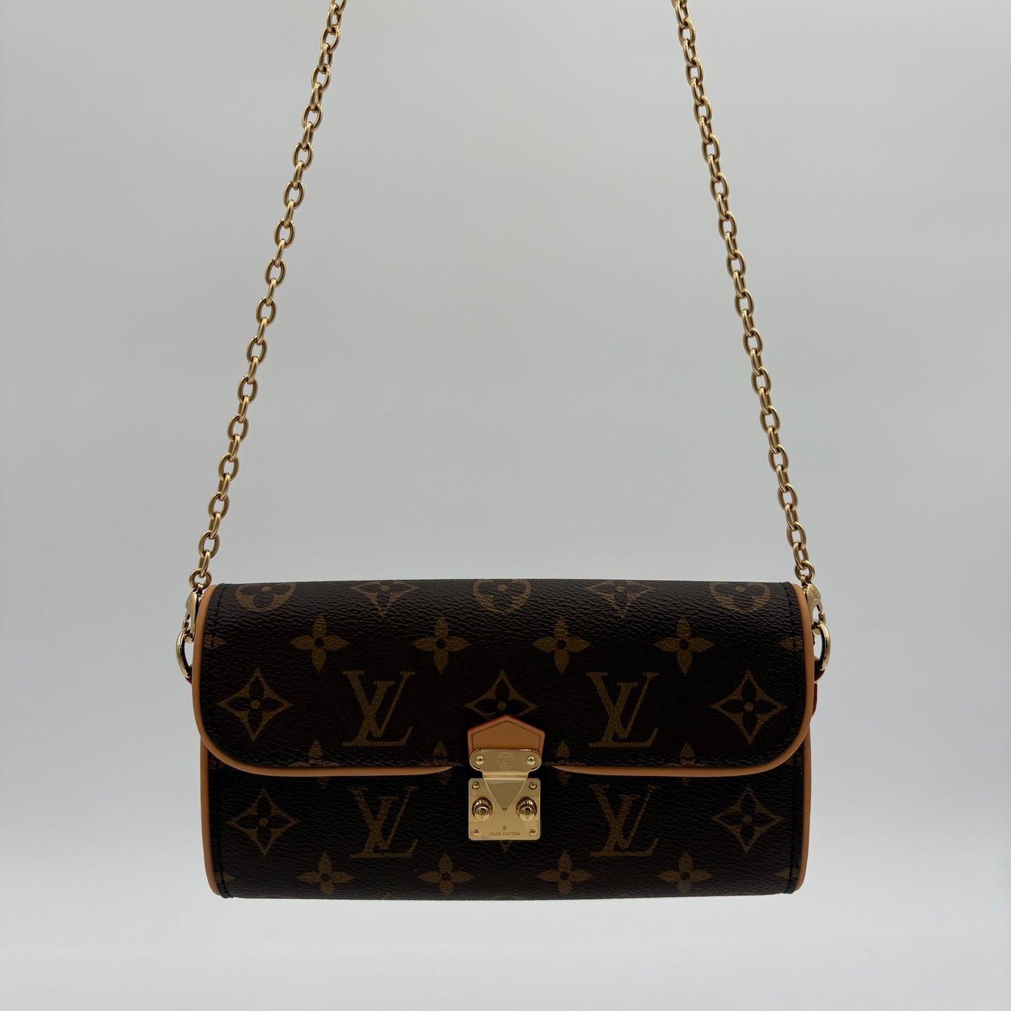 Chipped Louis Vuitton Pochette Camille Bag