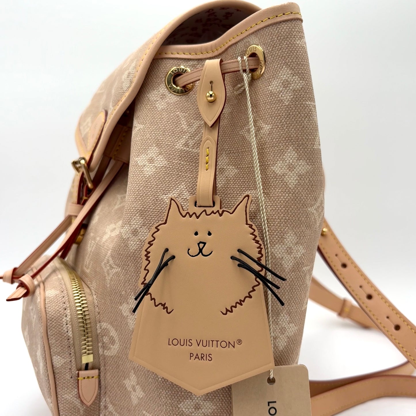 2025 Louis Vuitton Monogram Meowgram Montsouris