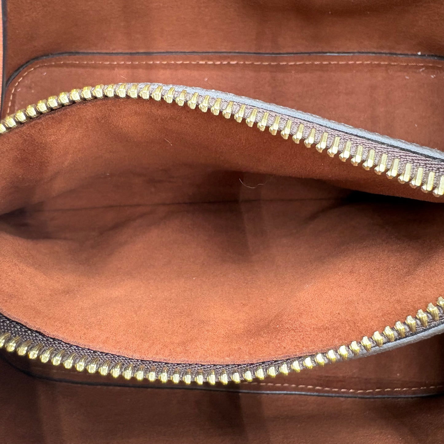 2020 Louis Vuitton NeoNoe Bag