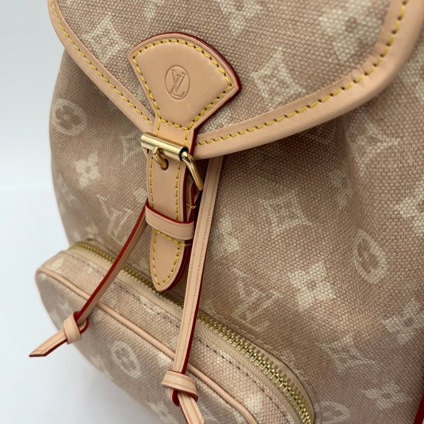 2025 Louis Vuitton Monogram Meowgram Montsouris