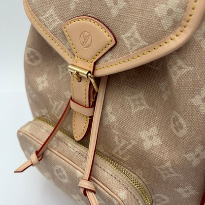 2025 Louis Vuitton Monogram Meowgram Montsouris