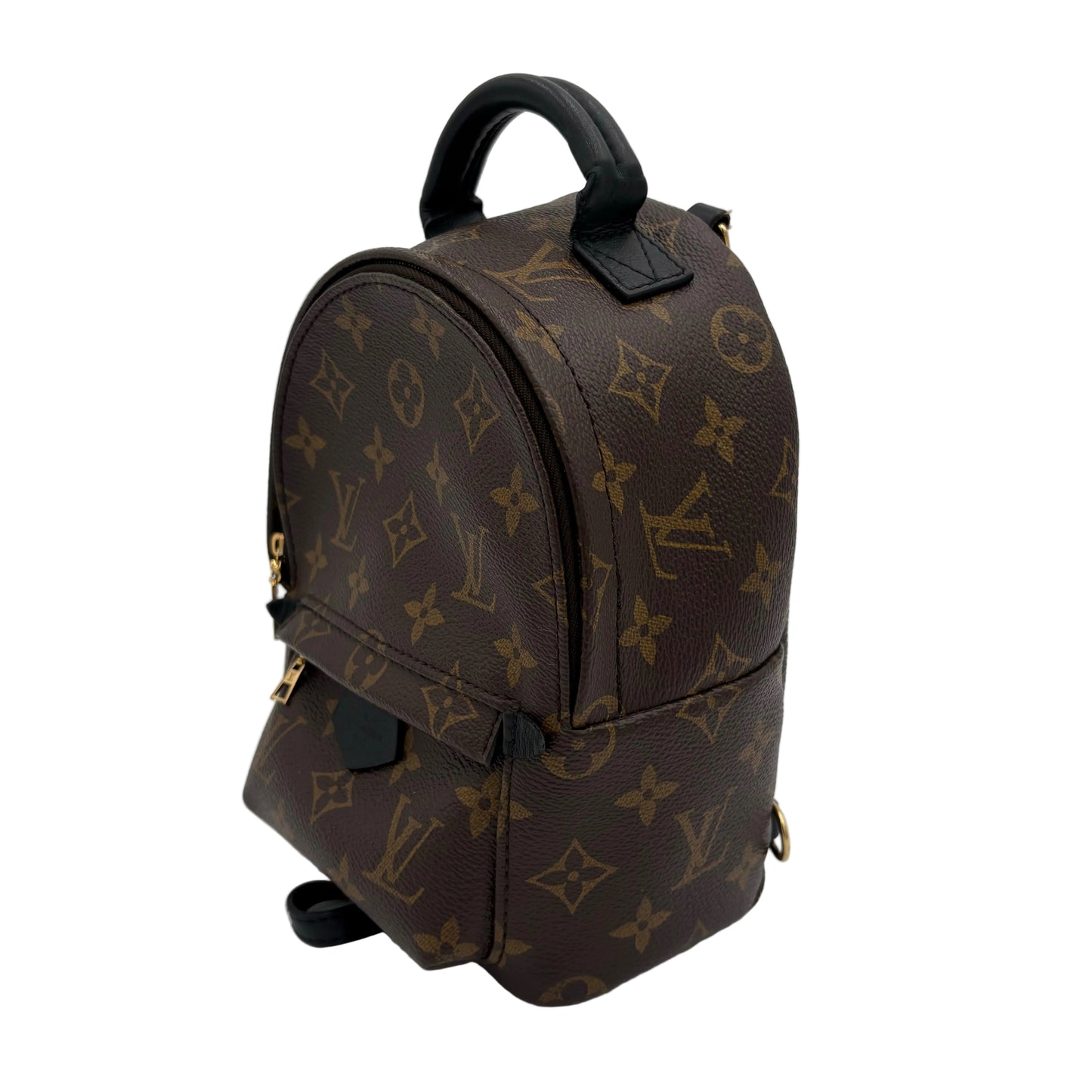 2018 Louis Vuitton Palm Springs Mini Backpack