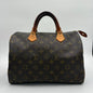 2009 Louis Vuitton Speedy Handbag