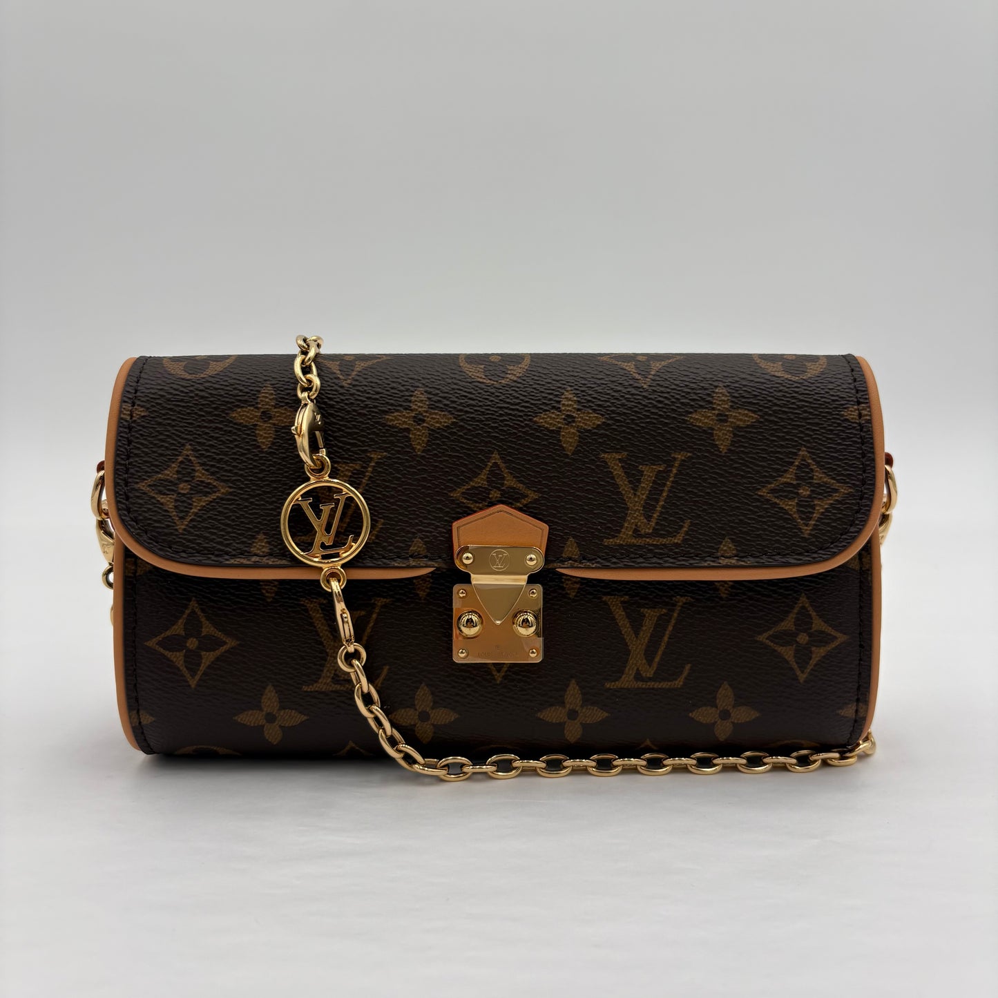 Chipped Louis Vuitton Pochette Camille Bag