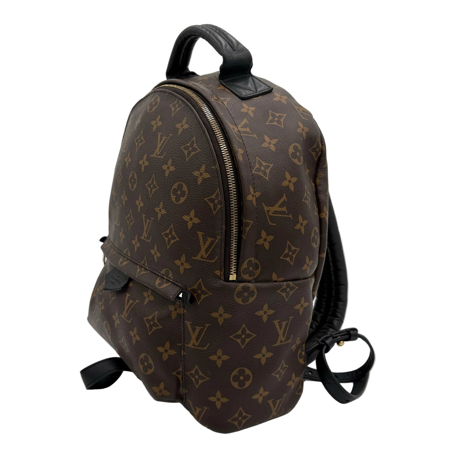2019 Louis Vuitton Palm Springs MM Backpack