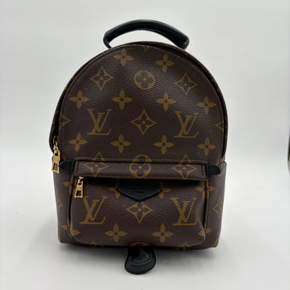 2019 Louis Vuitton Palm Springs Mini Backpack