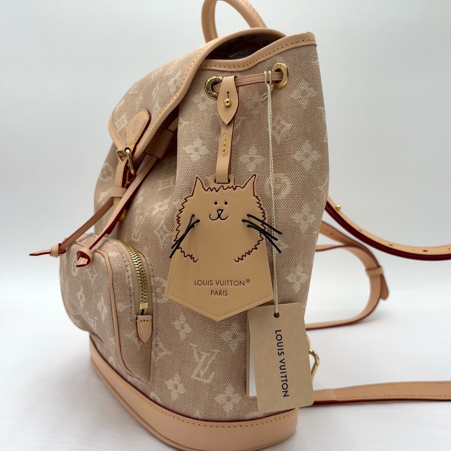 2025 Louis Vuitton Monogram Meowgram Montsouris