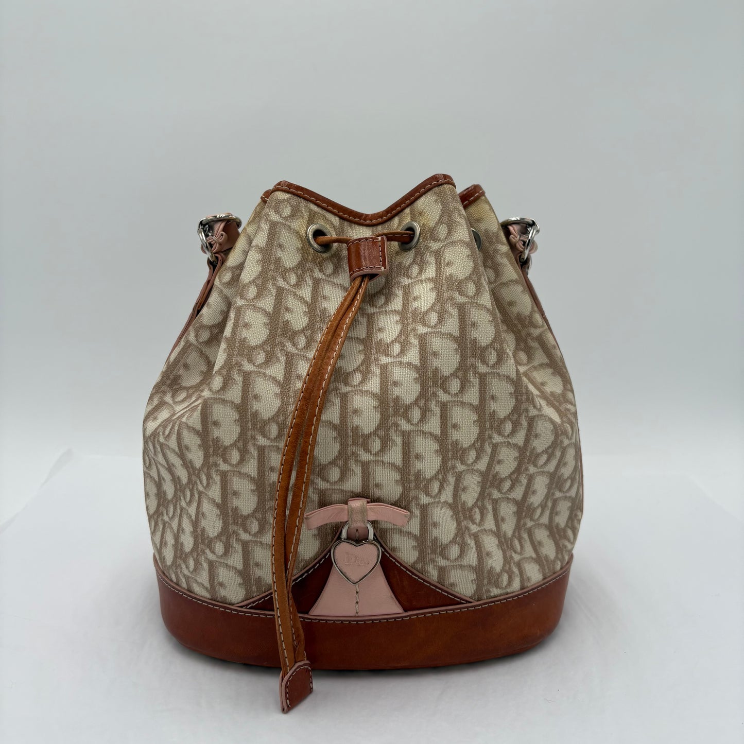Christian Dior Trotter Romantique Bucket Bag