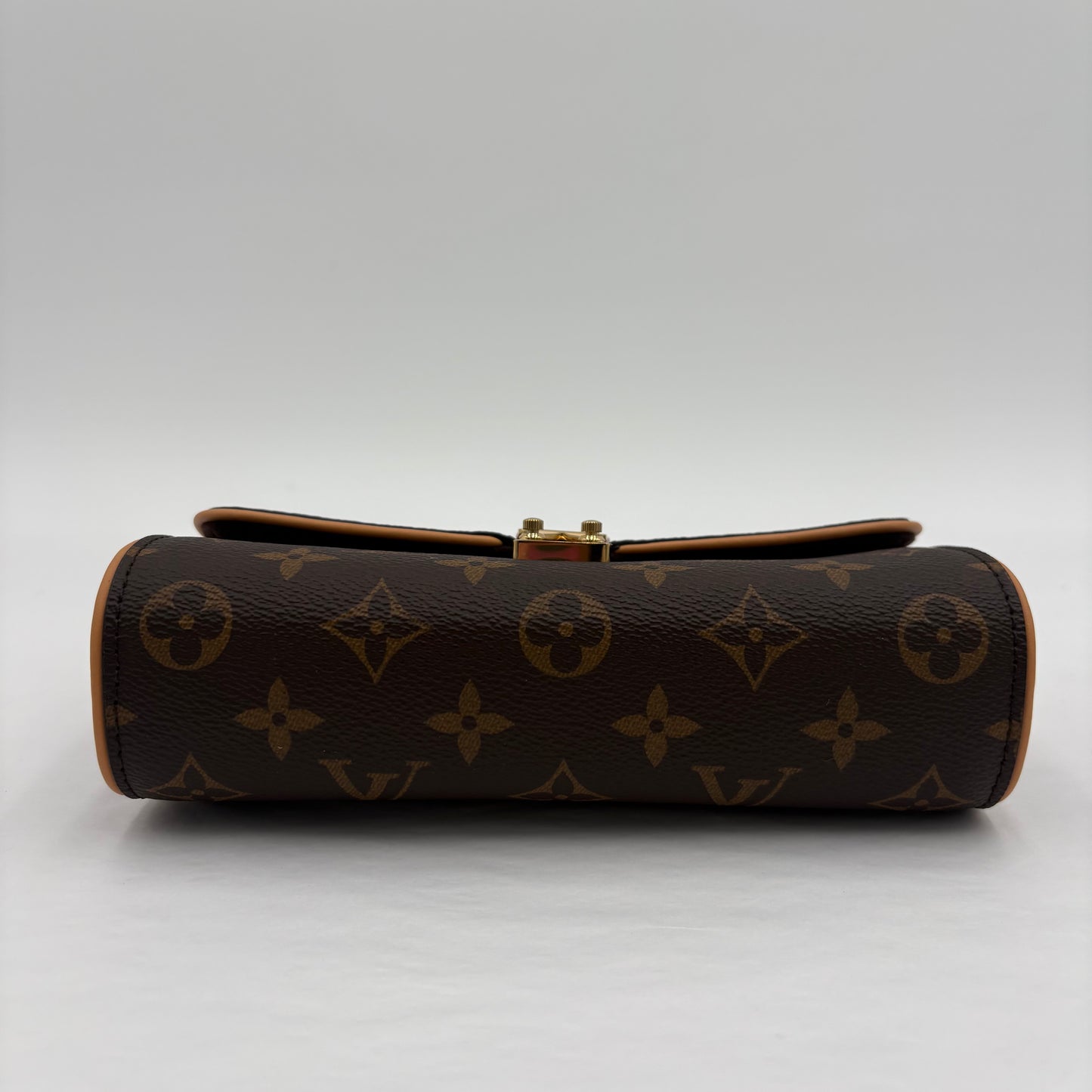 Chipped Louis Vuitton Pochette Camille Bag