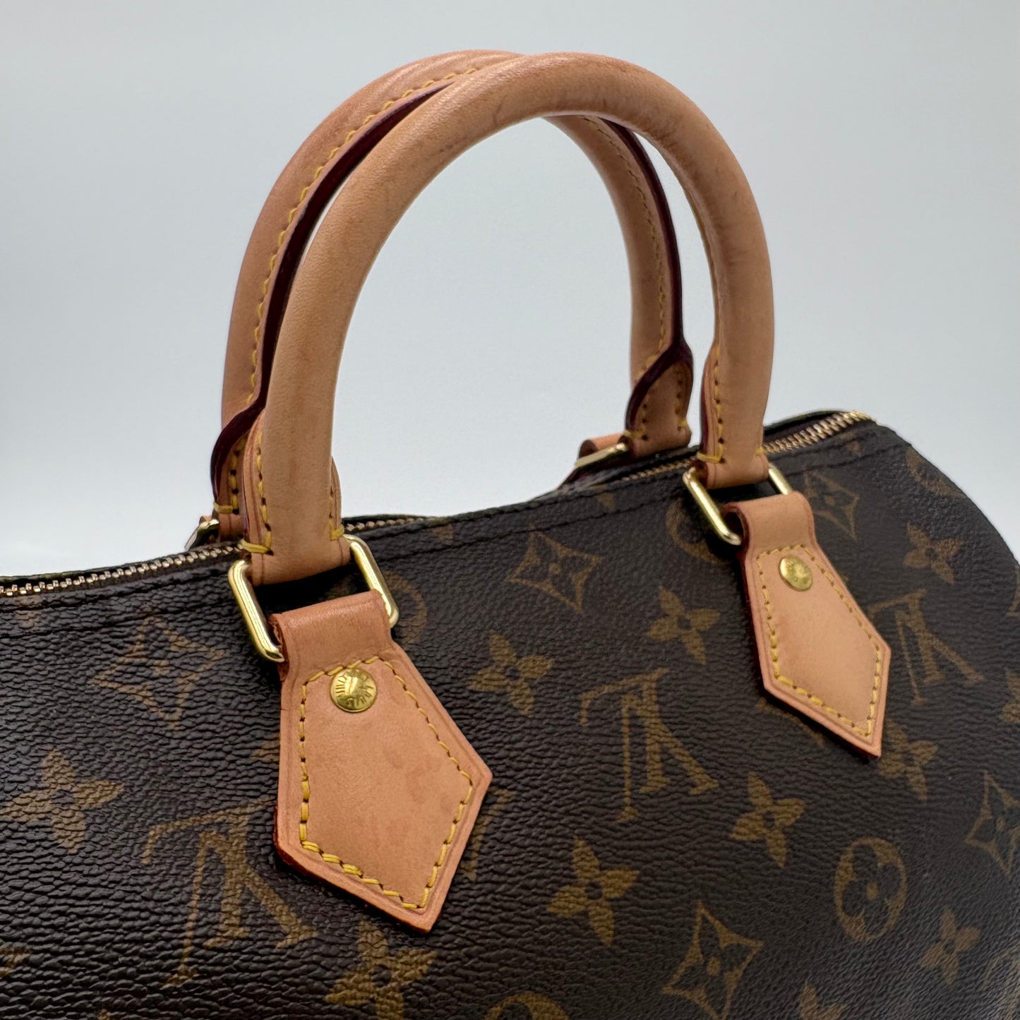 2020 Louis Vuitton Speedy 25 Monogram