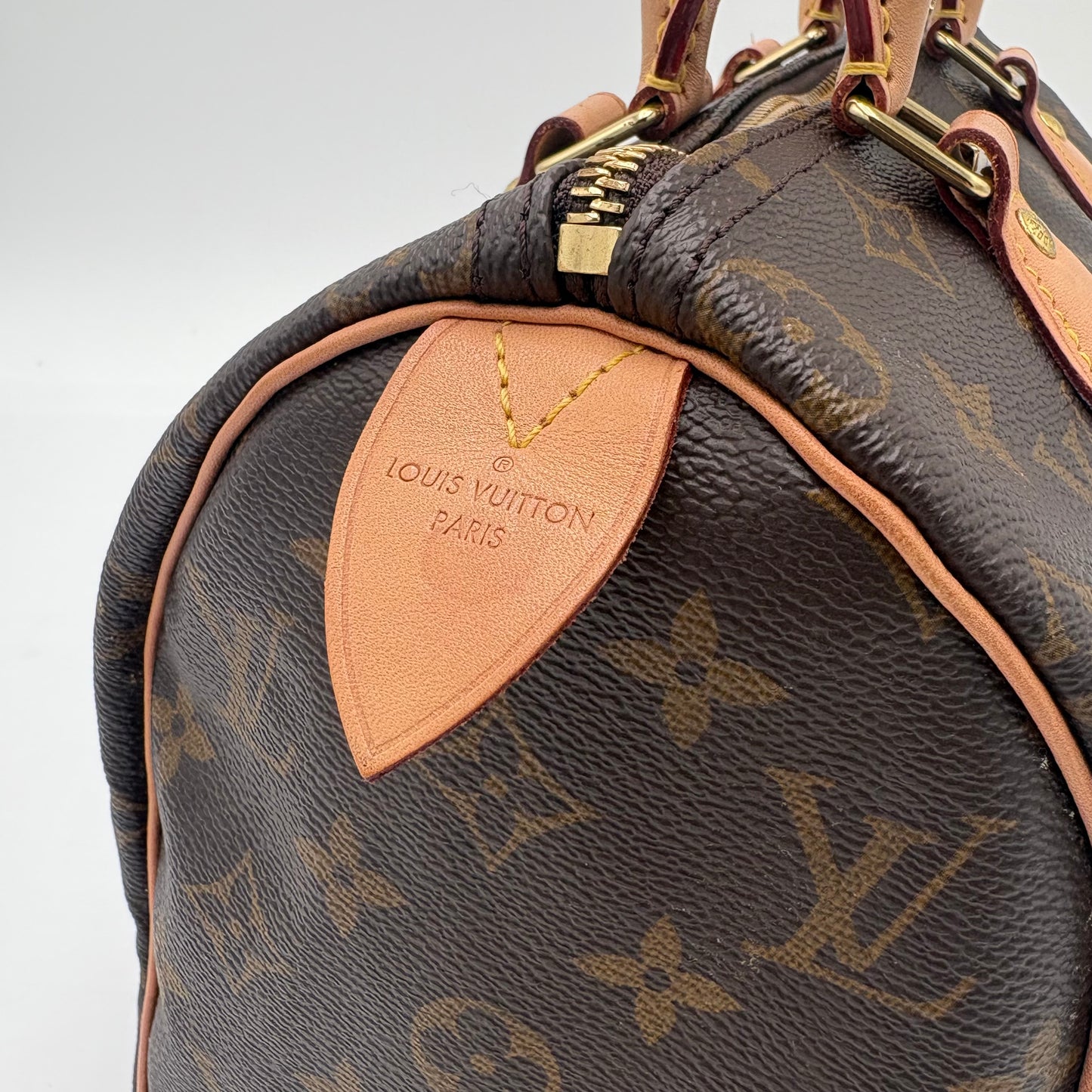 2020 Louis Vuitton Speedy 25 Monogram