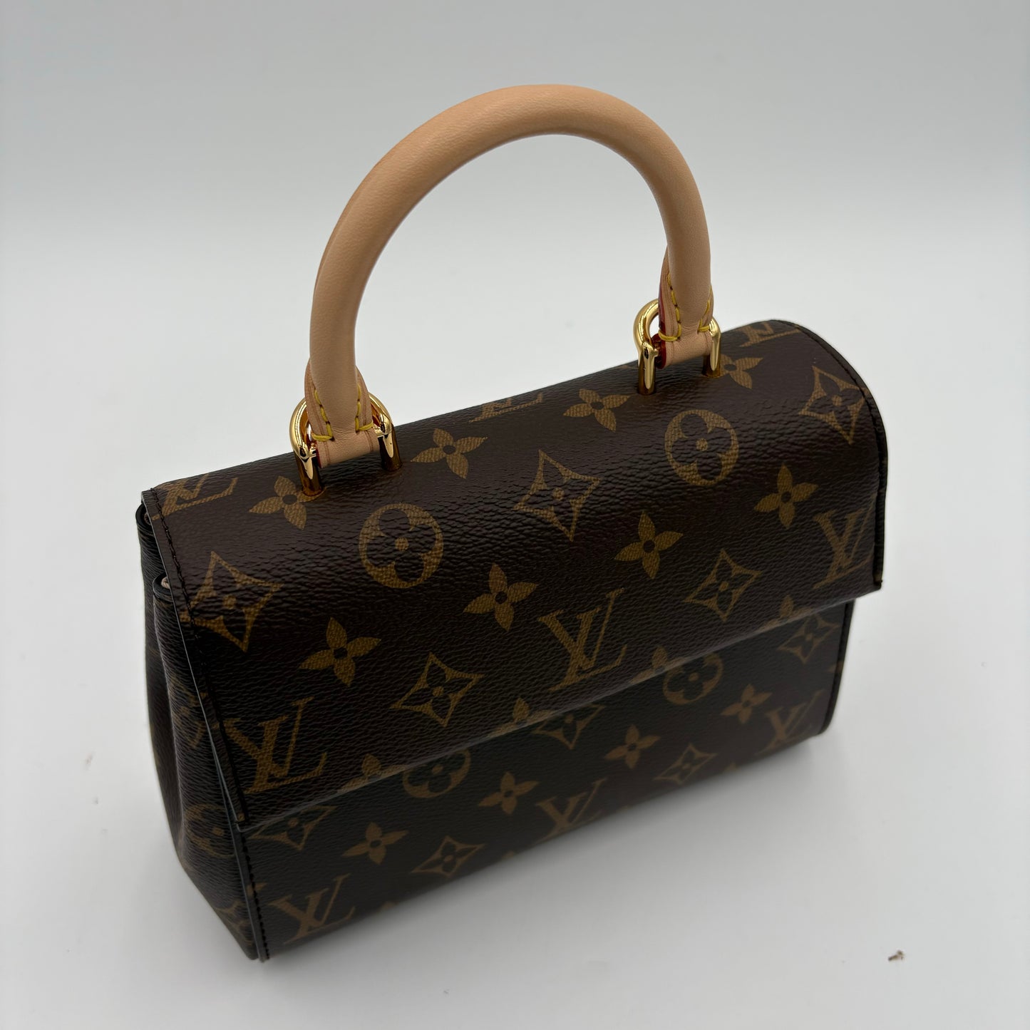 MIB Louis Vuitton Mini Cluny Bag