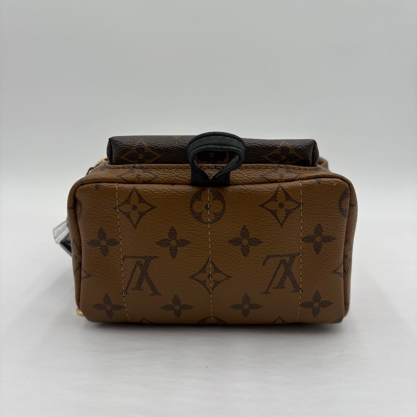 Chipped Louis Vuitton Reverse Monogram Palm Springs Backpack