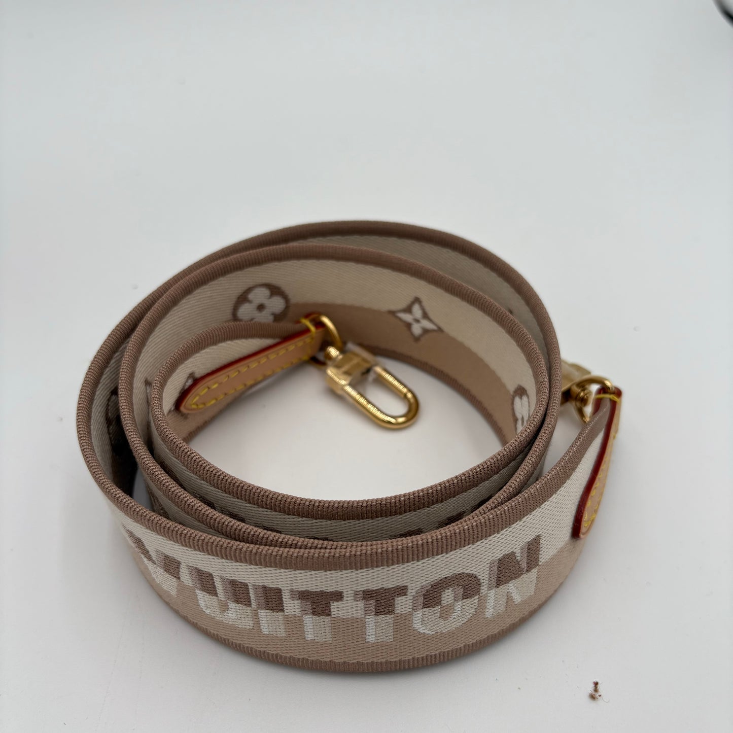 MIB Louis Vuitton Mini Cluny Bag