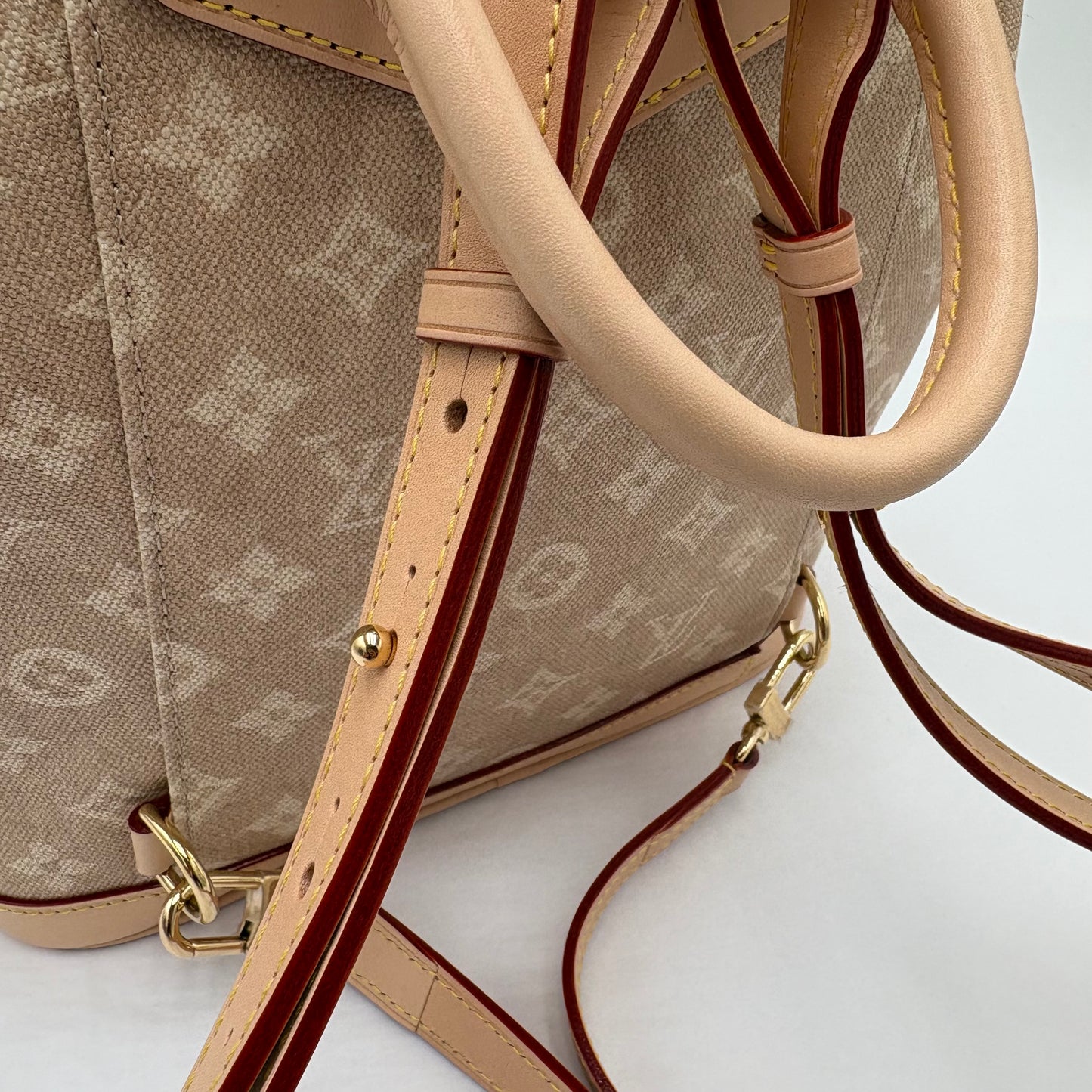 2025 Louis Vuitton Monogram Meowgram Montsouris