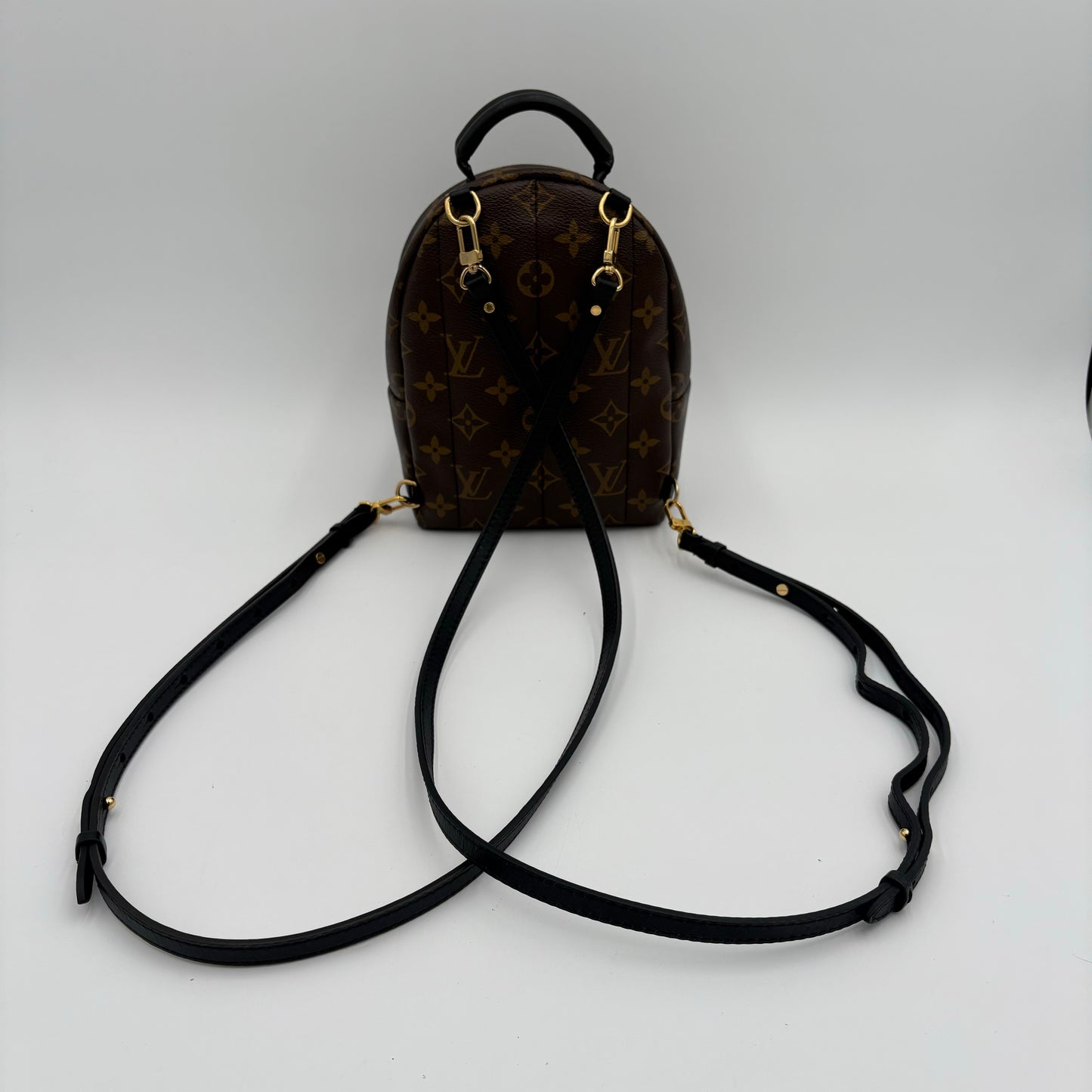 2018 Louis Vuitton Palm Springs Mini Backpack
