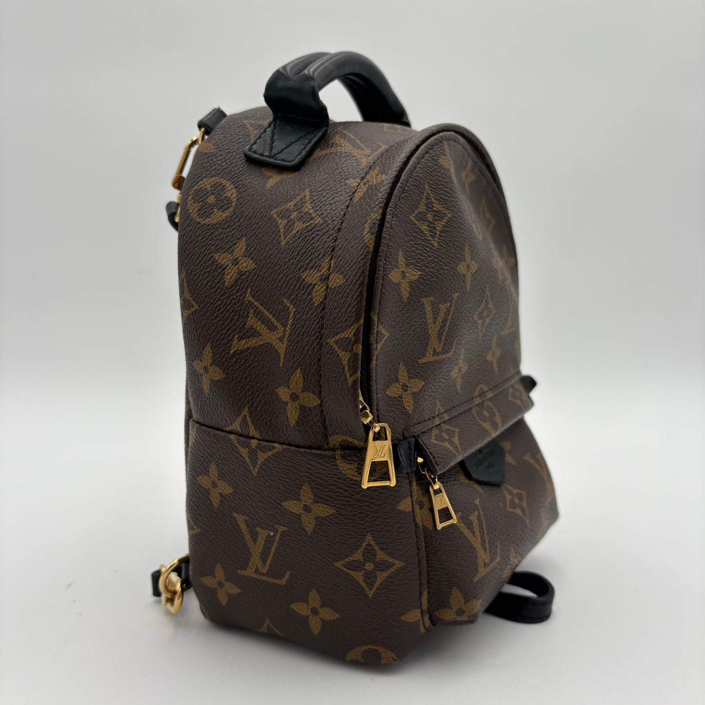 2019 Louis Vuitton Palm Springs Mini Backpack