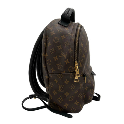 2019 Louis Vuitton Palm Springs MM Backpack