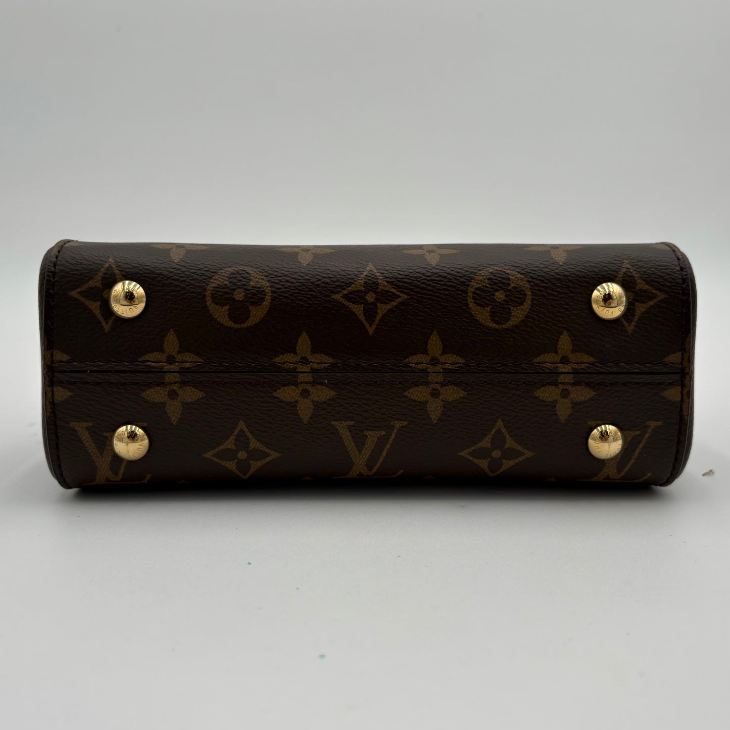 MIB Louis Vuitton Mini Cluny Bag