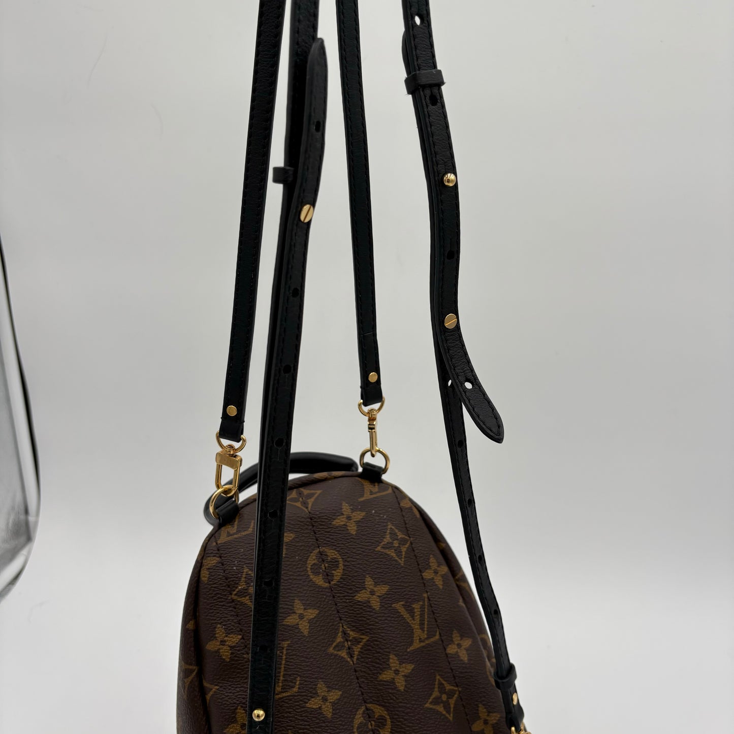 2019 Louis Vuitton Palm Springs Mini Backpack