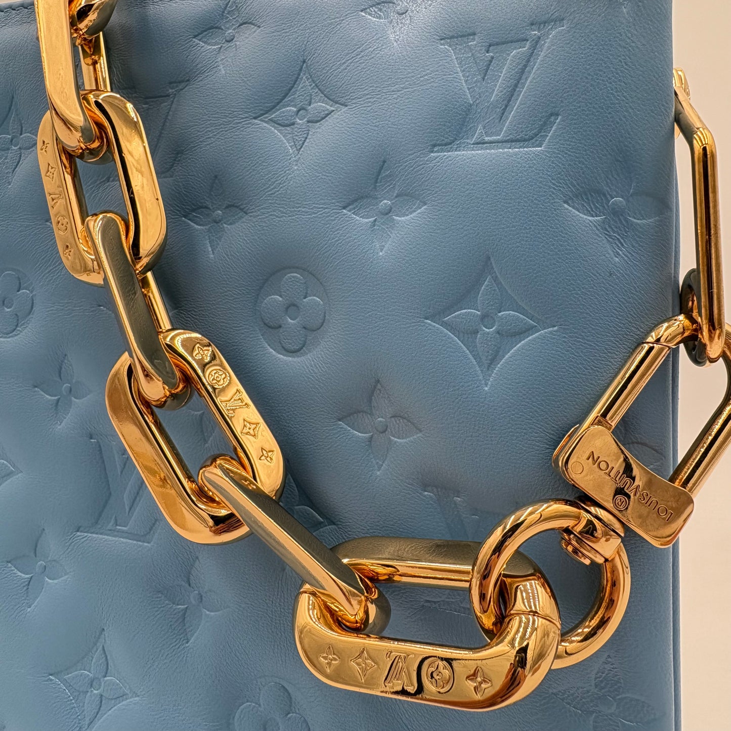 Chipped Louis Vuitton Coussin MM