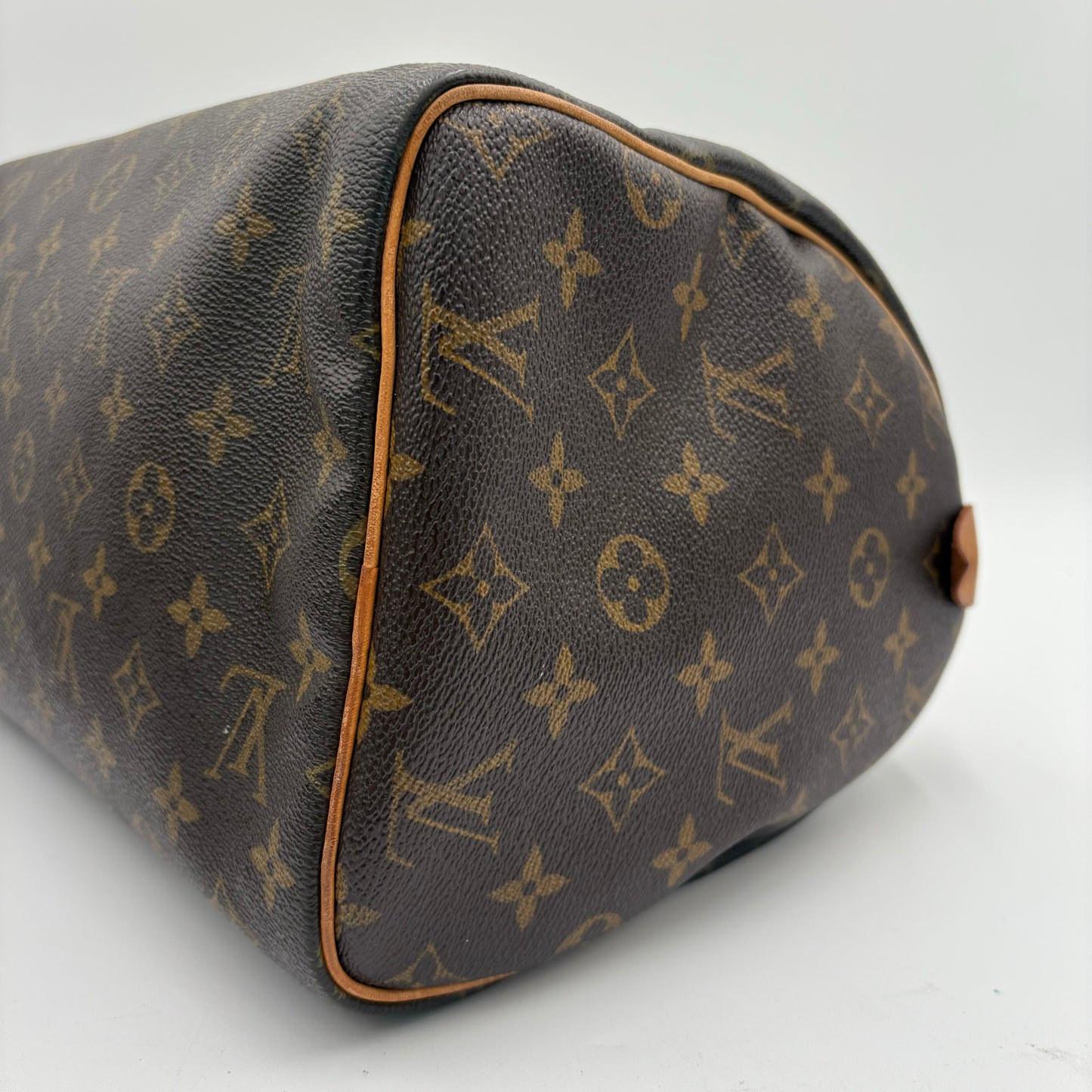 2009 Louis Vuitton Speedy Handbag