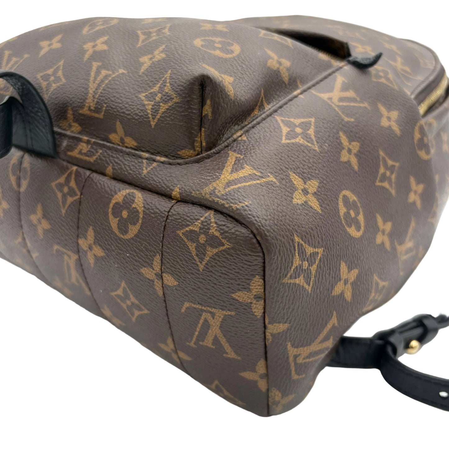 2019 Louis Vuitton Palm Springs MM Backpack