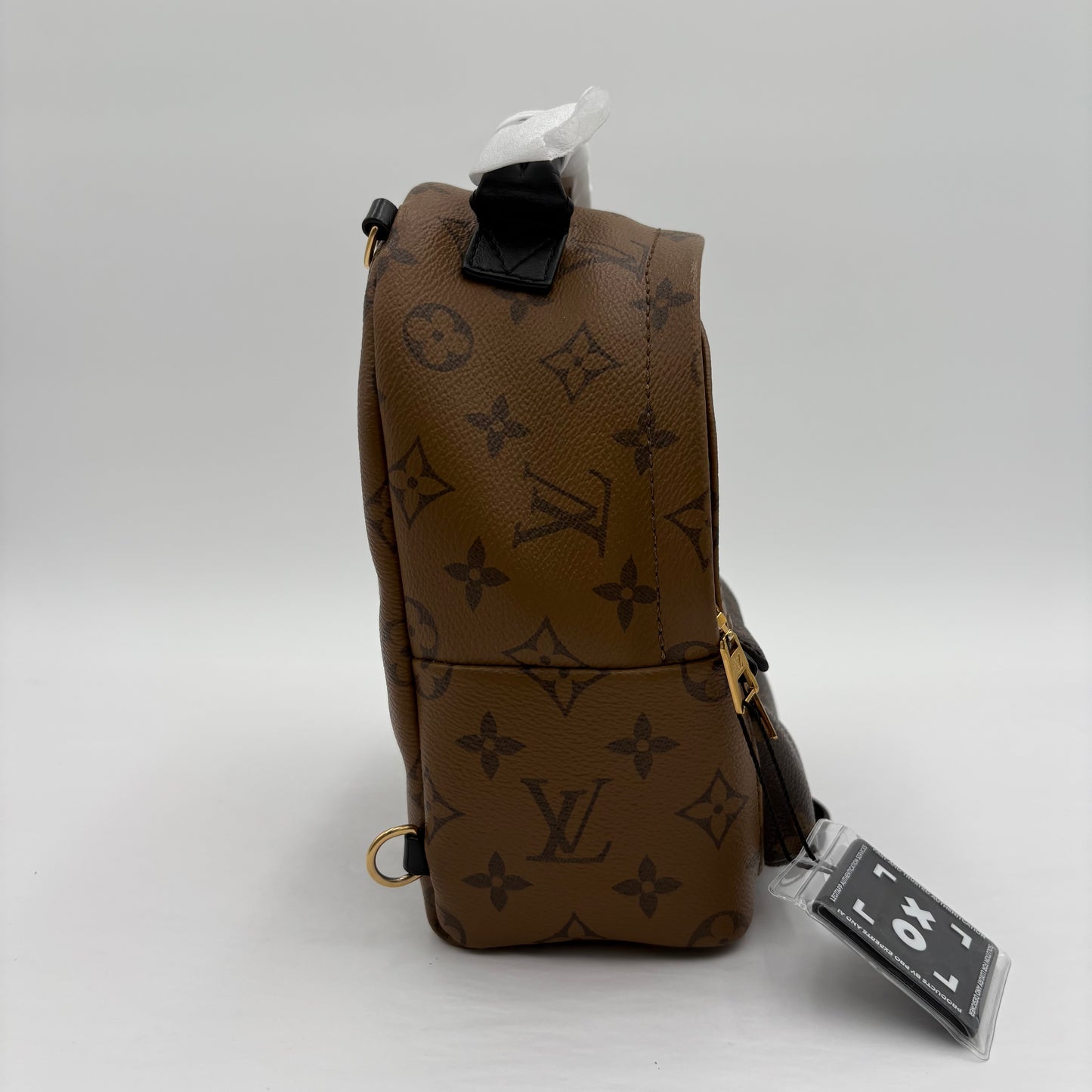 Chipped Louis Vuitton Reverse Monogram Palm Springs Backpack